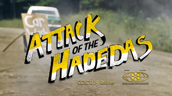 ATTACK OF THE HADEDAS - Short film music video